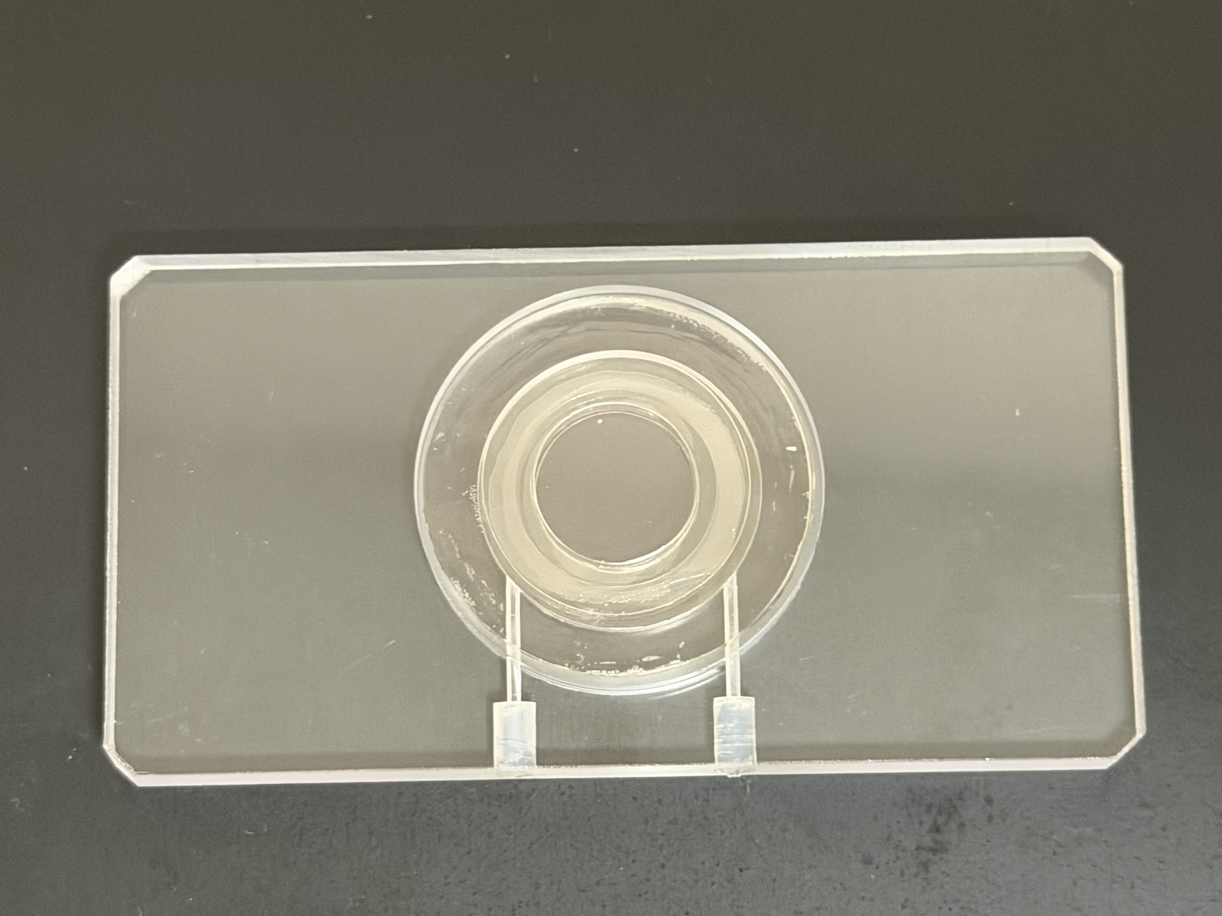 浮遊細胞・微粒子 観察セル 光学顕微鏡・ラマン用マイクロチャンバー INT750